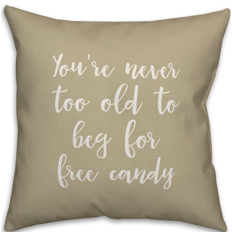 Reversible Throw Pillow, Beige, Pillow Cover