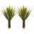 Spiky Agave Plant Silk Arrangement