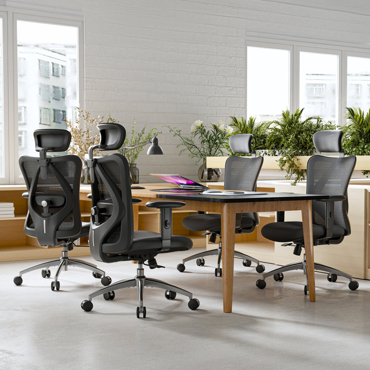 Ebern Designs Shekhar Mesh Task Chair & Reviews