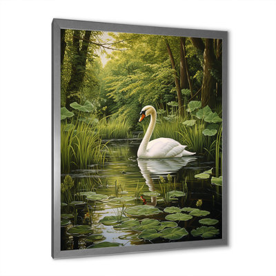 " Swans Refuge By The Lake "