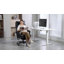 Executive Chair
