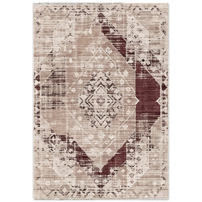 Oriental Indoor / Outdoor Rug