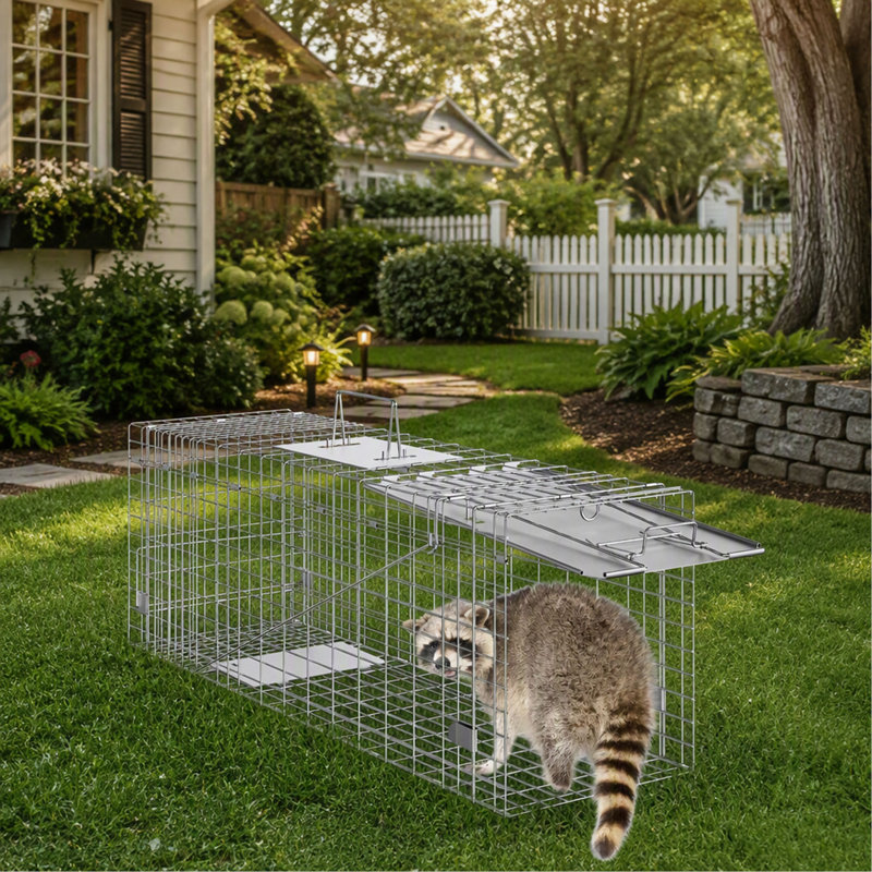 Cage pour petits animaux Ezavier