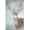 Stag Study II Painting by Jacob Lincoln
