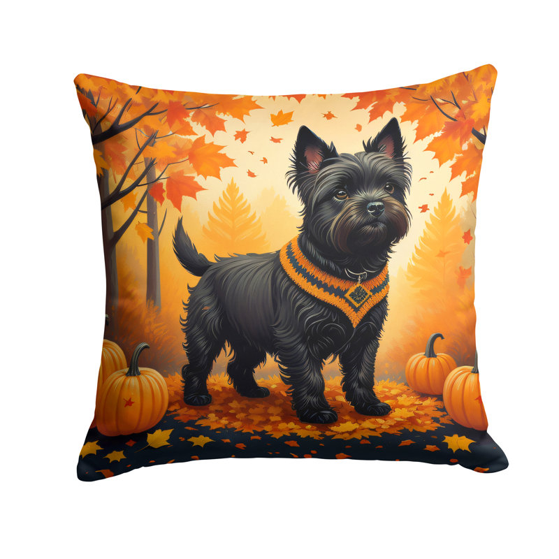 Other/No Pattern Outdoor Throw Pillow, 14" x 14"