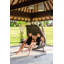 Celeste Double Chair Hammock with Stand-46460603