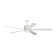 Tulsi 72'' Ceiling Fan with LED Lights
