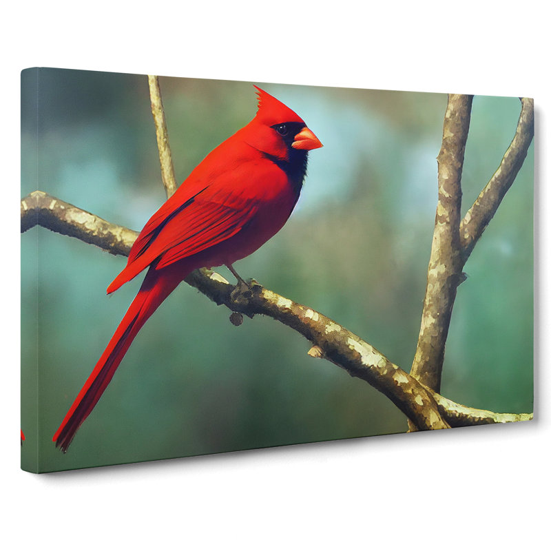 Cardinal Bird Vol.11 - Wrapped Canvas Painting, 50cm H x 76cm W x 3cm D