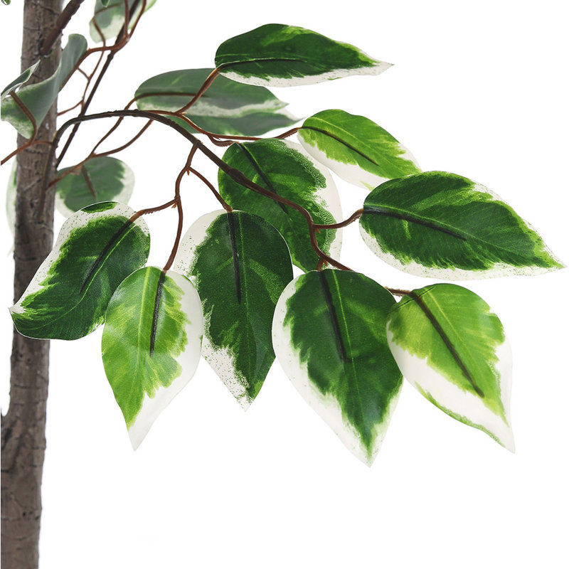 150cm Faux Ficus Tree in Freestanding