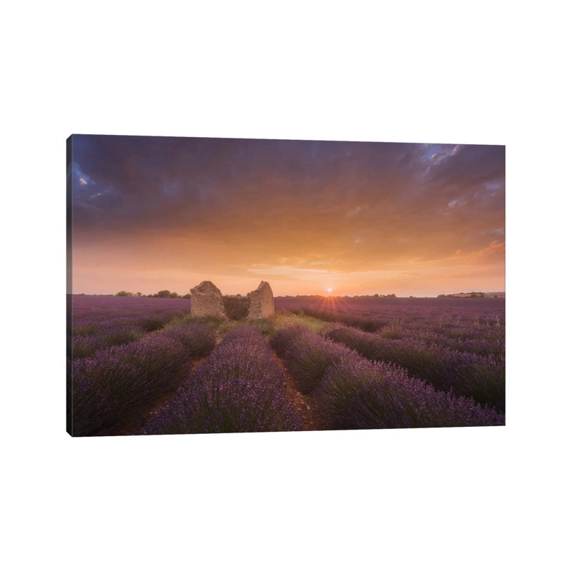 Lavender Fields Of Provence I by Daniel Kordan - Wrapped Canvas Print, 20.32 cm H x 30.48 cm W