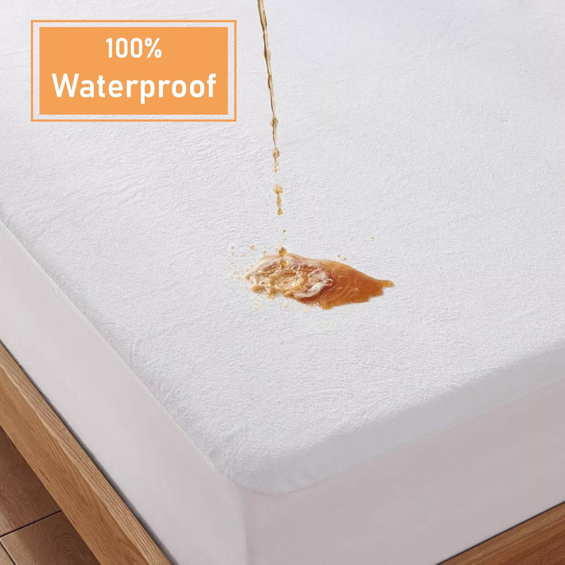 Hestia Mattress Protector Case Pack, Single (3')