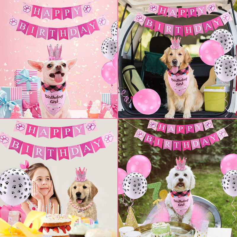 Ensemble de tenue d'anniversaire pour chien