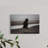 Eagle on a Beach-878052442