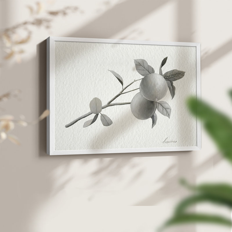 Limonero II - Reproduction encadrée - Restickable, H 16 po x l 20 po, Blanc