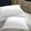 Cuddledown Sateen 800FP Down Pillow