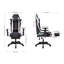 Brayden Studio PC & Racing Game Chair
