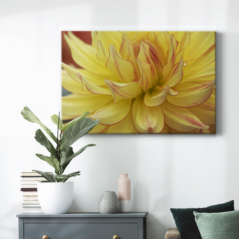 Toile tendue Blooms I-Gallery, H 12 po x l 18 po