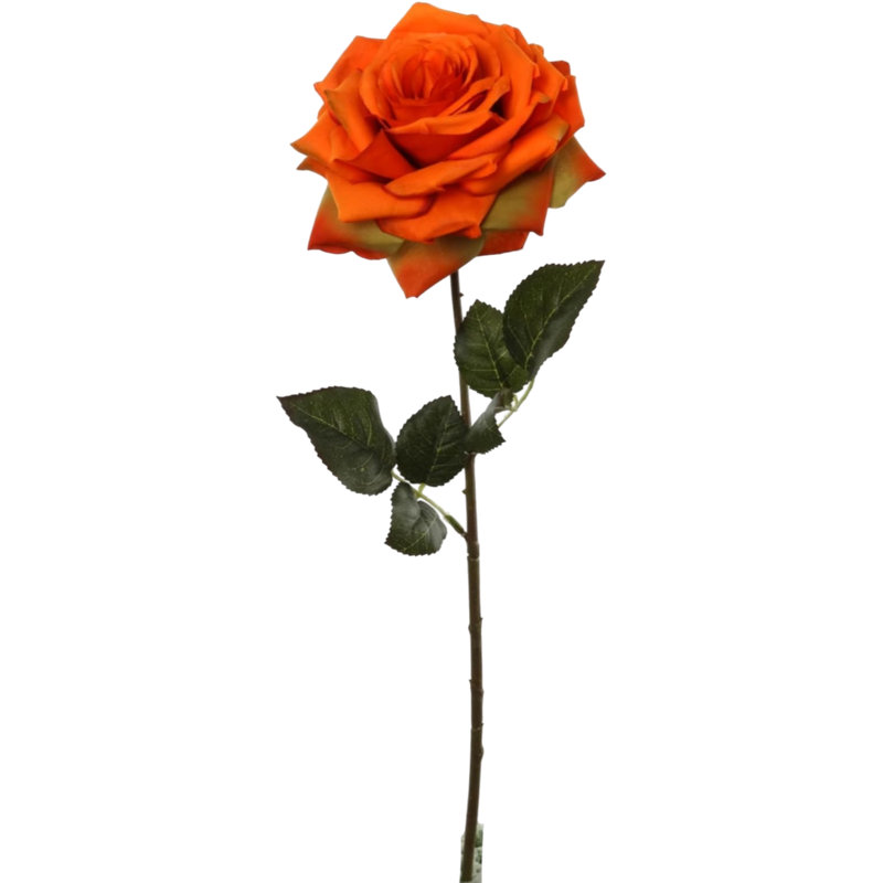 Tige de rose ouverte 20 po - paquet de 6