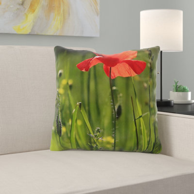 Coussin décoratif dépilé