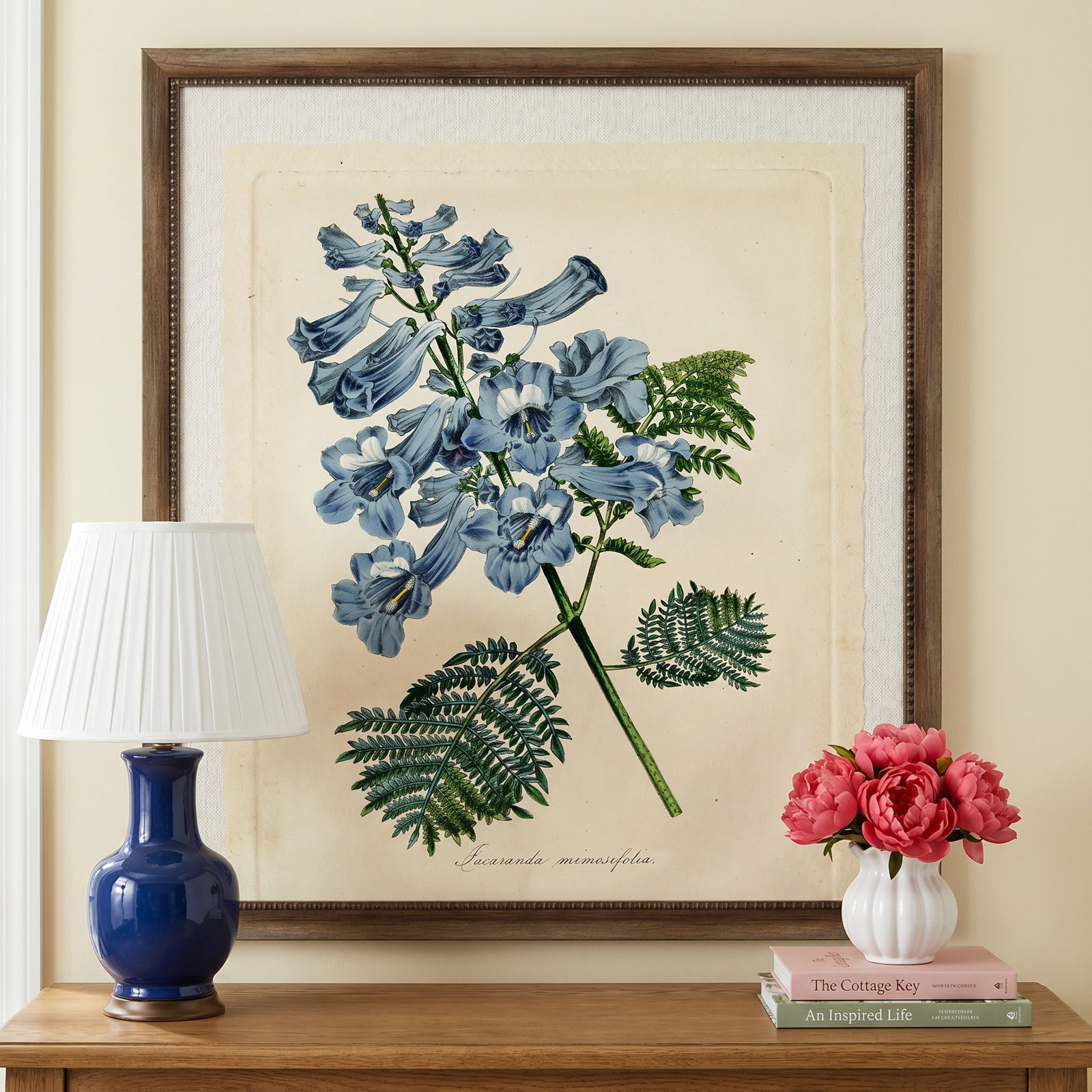 Jacaranda