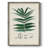Collected Ferns IX Framed Print - Solid Wood 2775369