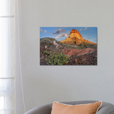 Opuntia Cactus At Cerro Castellan, Chihuahuan Desert, Big Bend National Park, Chihuahuan Desert, Texas by Tim Fitzharris - Wrapped Canvas Print