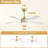 Damecia 52'' Modern Ceiling Fan with LED Light and Remote Control-123175728