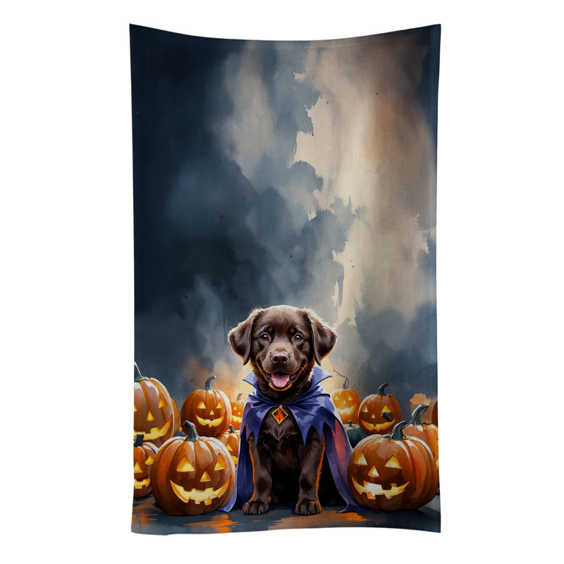 Torchon chocolat chocolat Labrador Retriever, Labrador Retriever chocolat