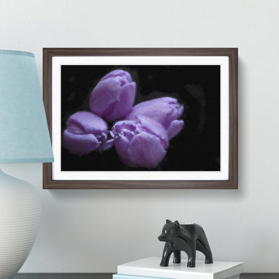 Four Purple Tulips - Framed Print