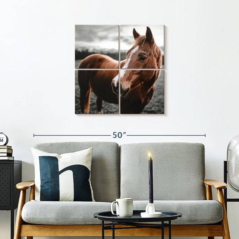Brampt Shining Horse