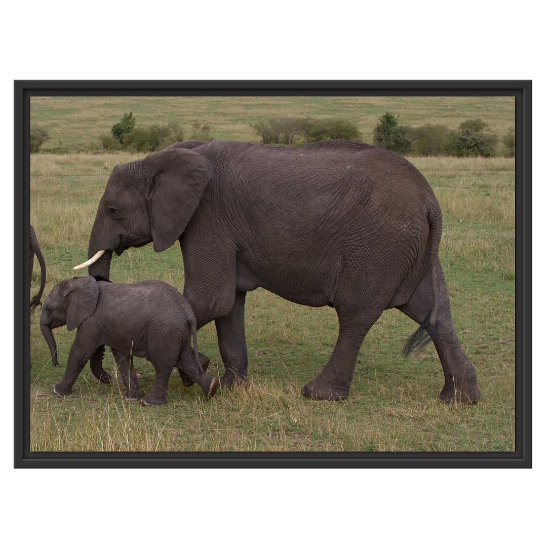 Gerahmtes Wandbild wandernde Elefantenfamilie