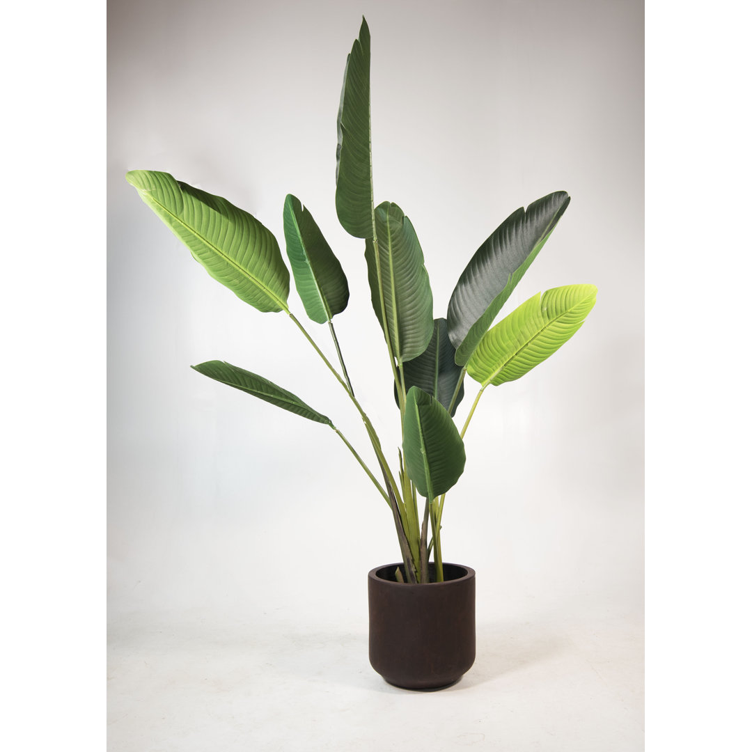 Alyonna Clay Pot Planter Ebern Designs 