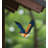 Flying Bird Mobile - Blue Bird