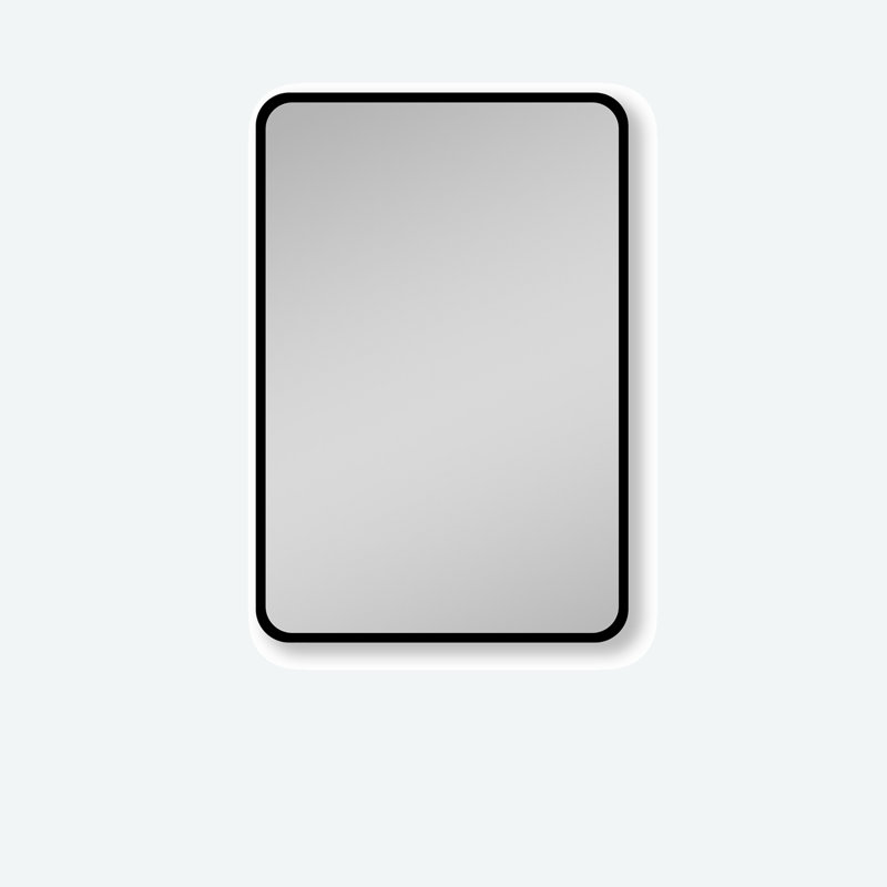 20'' W 28'' H Surface Framed Medicine Cabinet Mirror 3