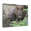 No Frame Print on Canvas