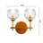 Inez Wrought Iron Armed Sconce