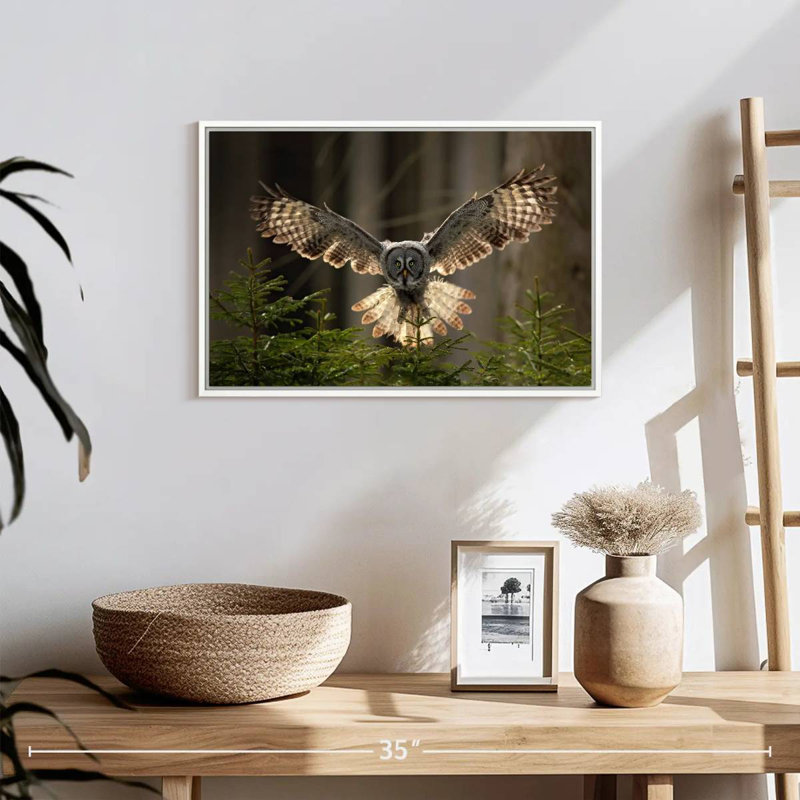 Hibou volant, Cadre flottant blanc, 19 po x 13 po