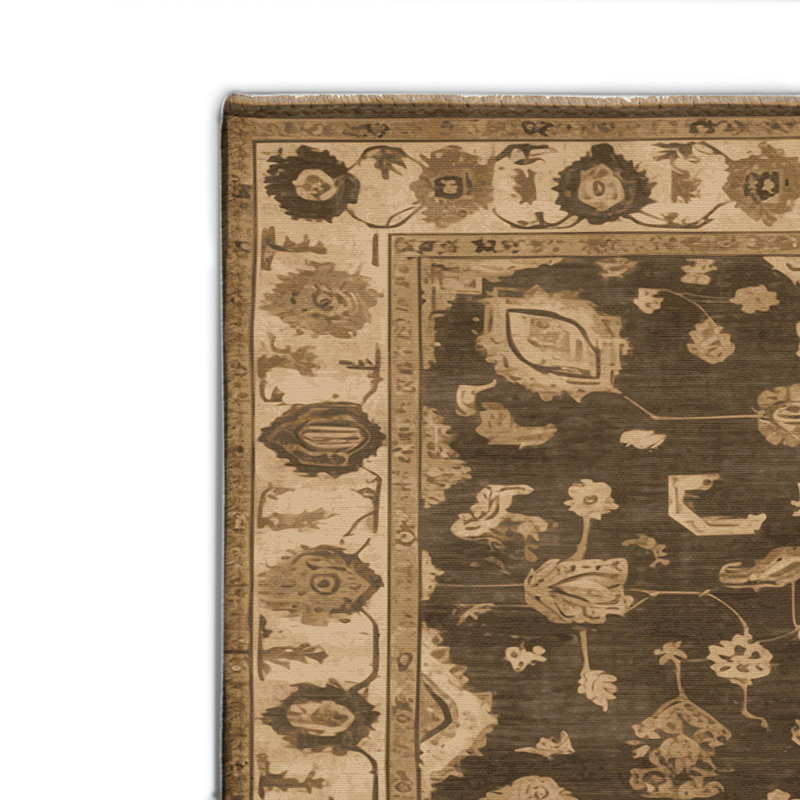 Tapis intérieur et extérieur brun Overdyed, Rectangle 4pi x 6 pi