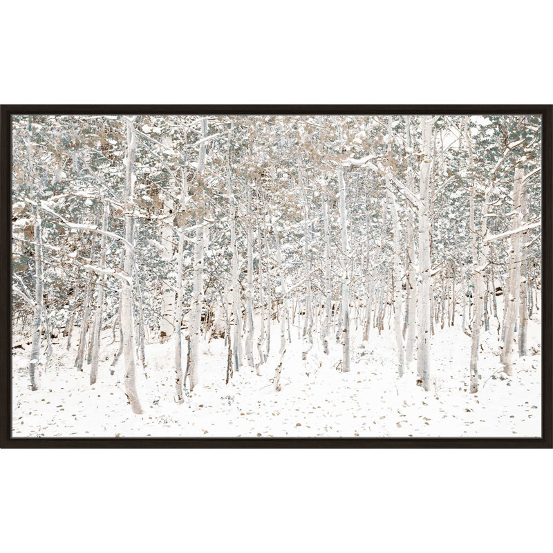 «White Snow Wonderland», reproduction de photo sur toile, H 21,5 po x l 33,5 po x P 2 po, Cadre flottant espresso