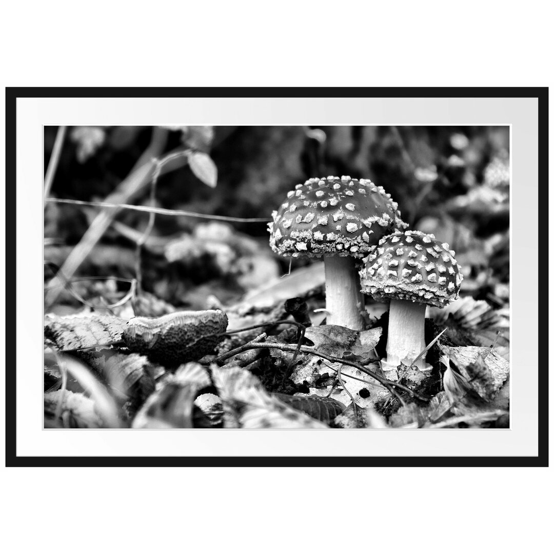 Gerahmtes Poster Pilz im Wald