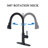 Trifecte Pull Down Kitchen Faucet