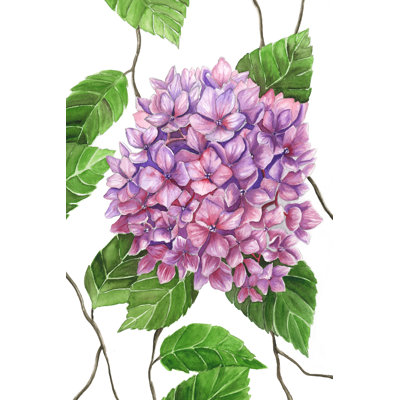 " Hydrangea " by Leah Tedesco