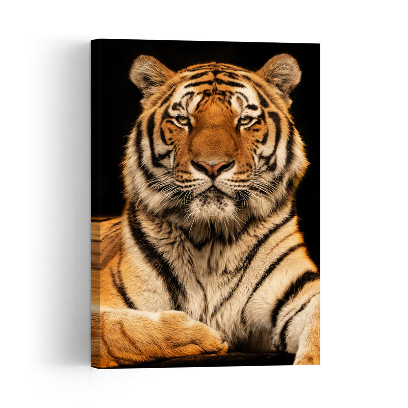 Majestic Tiger Portrait Contemporary Cat Tiger Wall Art Print 1 Piece Wrapped Canvas Wall Art, 60.96cm H x 40.64cm W