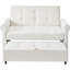 Jaxenor 2 Seater Pull Out Sofa Bed, Convertible Sleeper Sofa, Double sofa Bed with Side Storage Pocket, Rolling Casters, Fold Out Guest Couch for Small Apartment, Living Room & Guest Room-1769203958