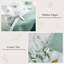 No Pattern Duvet Cover Set