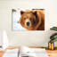 Regard d'ours grizzly-107703631