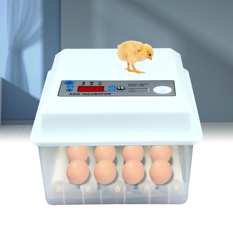 Incubateur de volaille automatique 16 œufs Adre