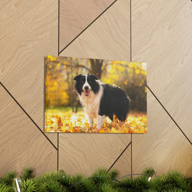 Art mural majestueux Border Collie, H 12 po x l 18 po