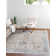 Kaleigh Oriental Indoor Rug