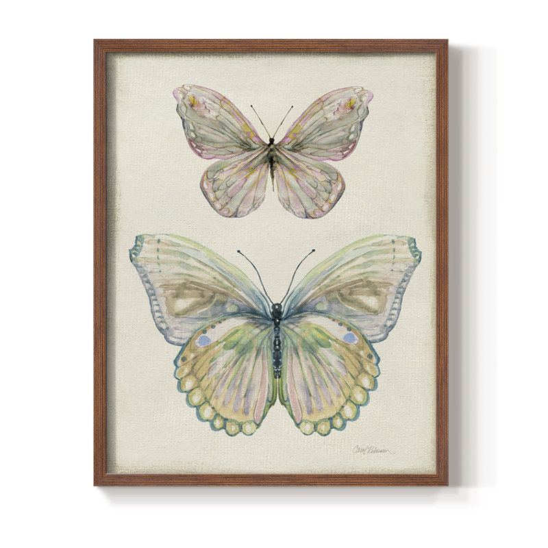 «Botanical Butterfly I», reproduction encadrée - bois massif, H 21 po x l 17 po, Noyer